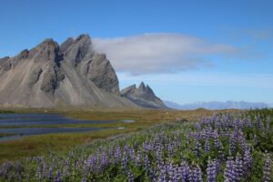 Mehr über den Artikel erfahren Island 2026 Tag 9: Fláajökull und Stokksnes/Vestrahorn