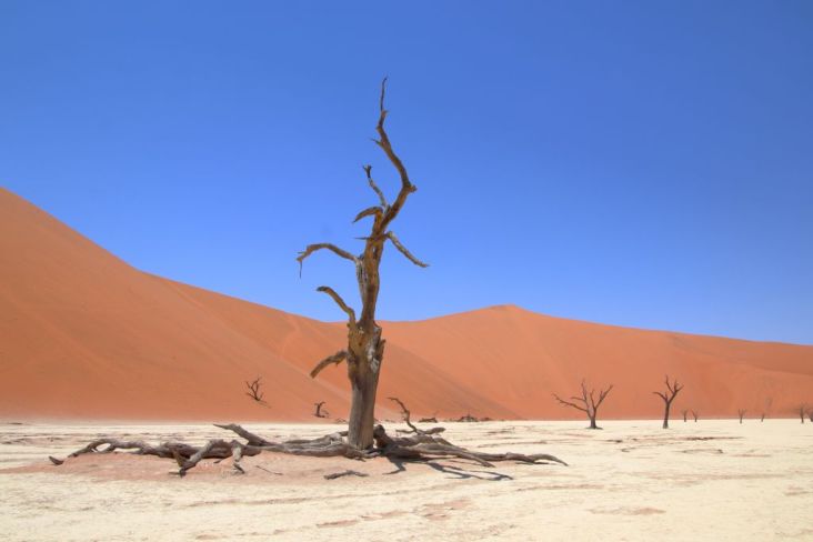 Du betrachtest gerade Namibia 2023 Tag 9: Sossusvlei