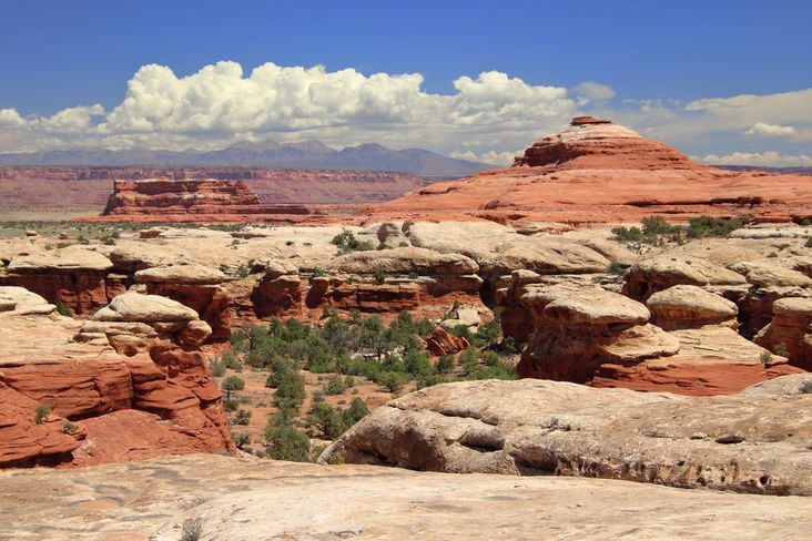 Du betrachtest gerade USA 2018 Tag 14: Canyonlands (Needles)