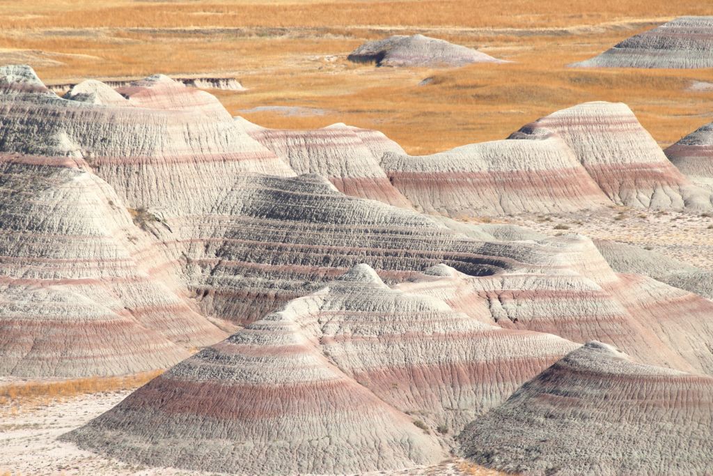 Mehr über den Artikel erfahren USA 2024 Tag 17: Custer und Badlands