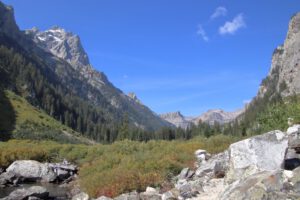Mehr über den Artikel erfahren USA 2024 Tag 6: Grand Teton