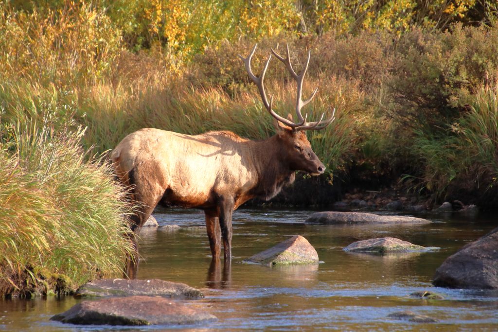 USA 2024 Tag 22: Rocky Mountain