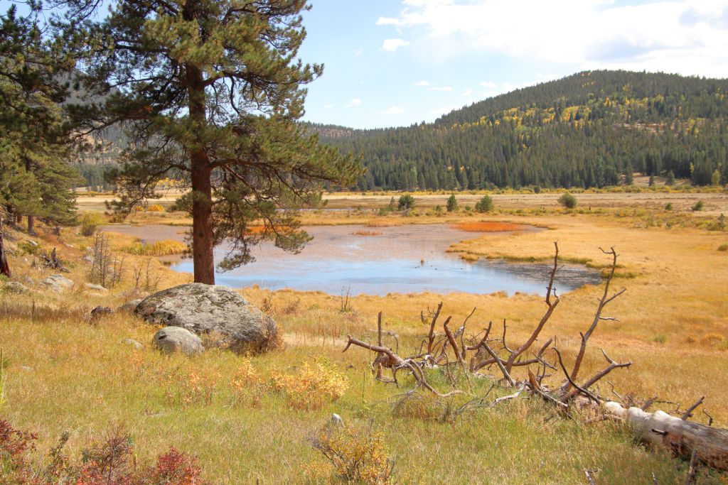 USA 2024 Tag 23: Rocky Mountain