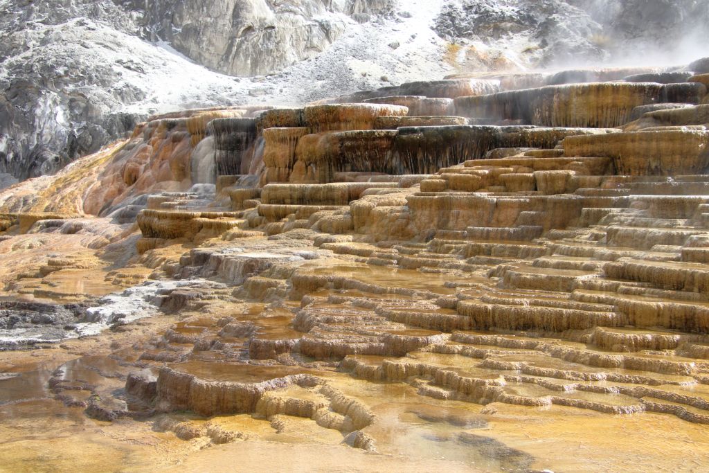 Mehr über den Artikel erfahren USA 2024 Tag 9: Yellowstone